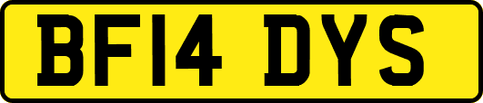 BF14DYS