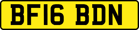 BF16BDN