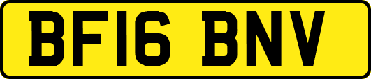 BF16BNV