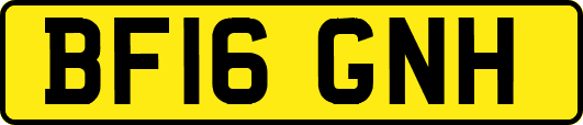 BF16GNH