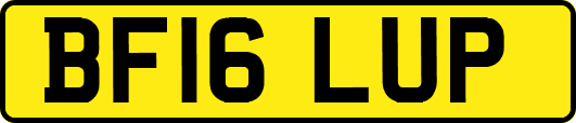 BF16LUP