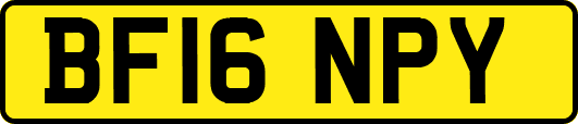 BF16NPY