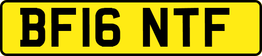 BF16NTF