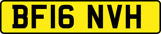 BF16NVH