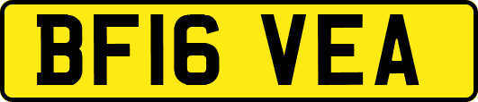 BF16VEA