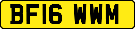 BF16WWM