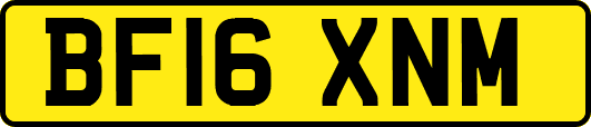 BF16XNM