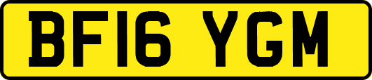 BF16YGM