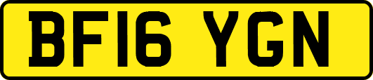 BF16YGN