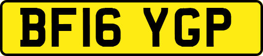 BF16YGP