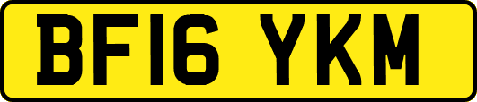 BF16YKM