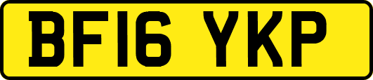 BF16YKP