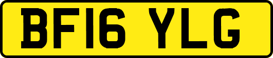 BF16YLG
