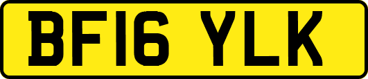 BF16YLK