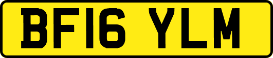 BF16YLM