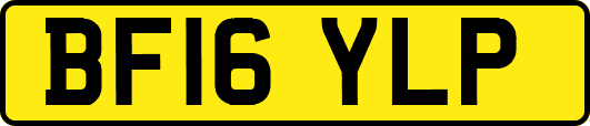 BF16YLP