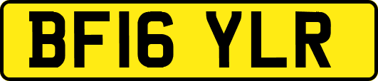 BF16YLR
