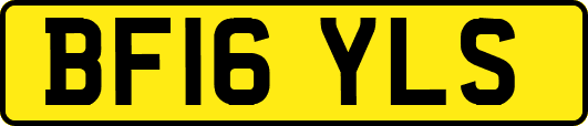 BF16YLS