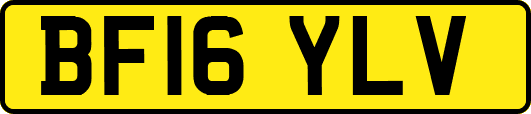 BF16YLV