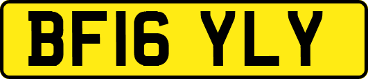 BF16YLY