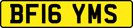 BF16YMS