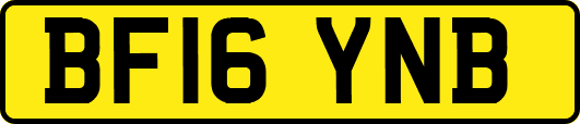 BF16YNB