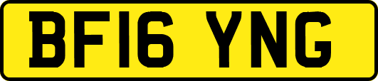 BF16YNG