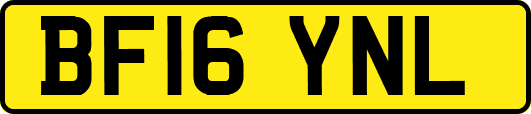 BF16YNL
