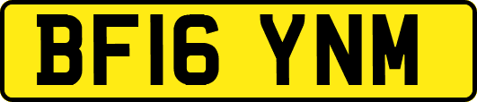 BF16YNM