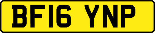 BF16YNP