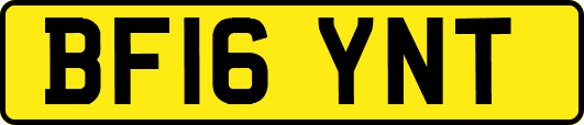 BF16YNT