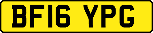 BF16YPG