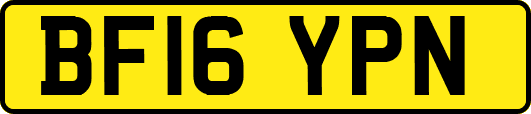 BF16YPN