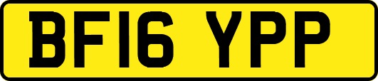 BF16YPP