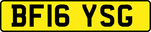 BF16YSG