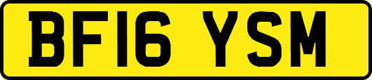 BF16YSM