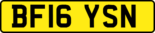 BF16YSN