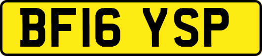 BF16YSP