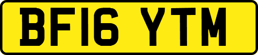 BF16YTM