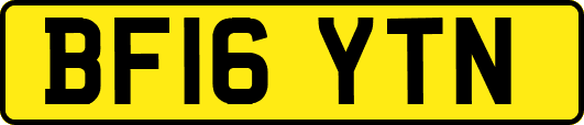 BF16YTN