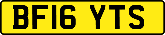 BF16YTS