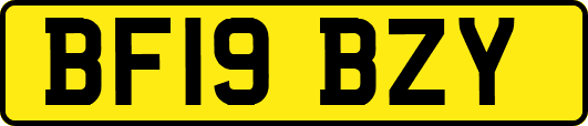 BF19BZY
