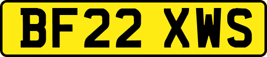 BF22XWS