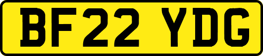 BF22YDG