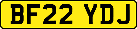 BF22YDJ