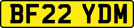 BF22YDM