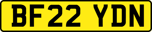BF22YDN