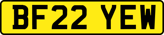 BF22YEW