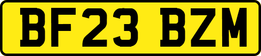 BF23BZM