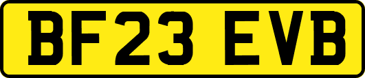 BF23EVB